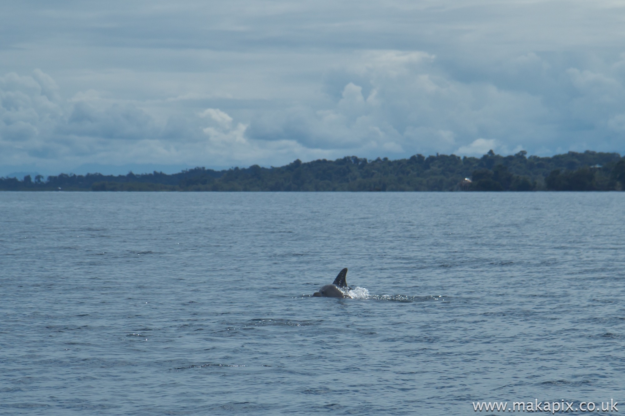 Bocas Del Toro, Panama 2014