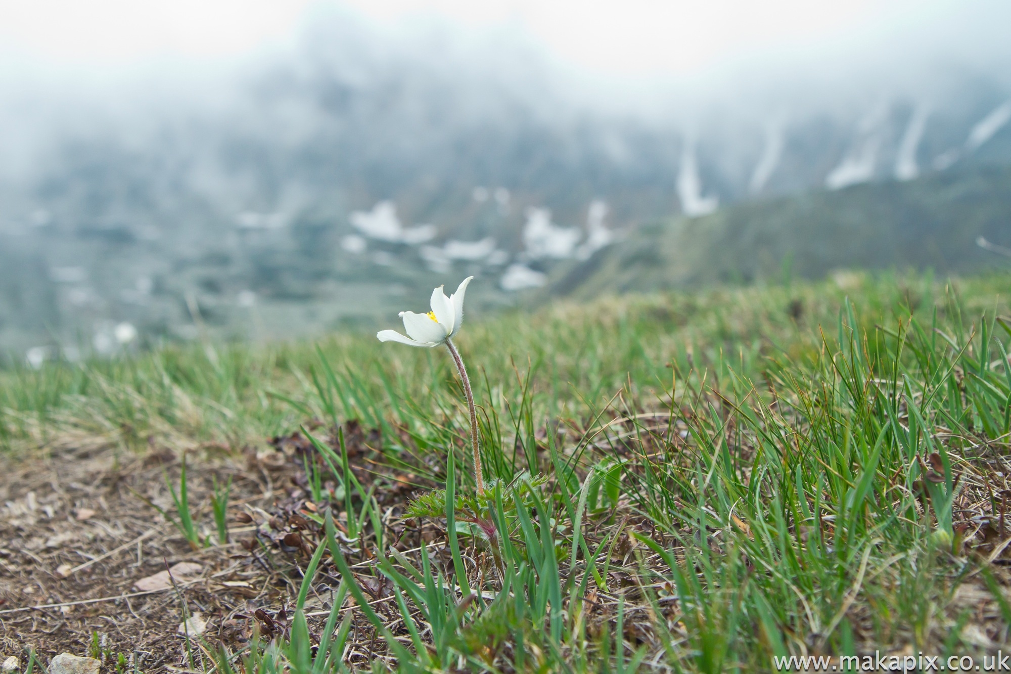 Bystra,West Tatras, Slovakia 2014