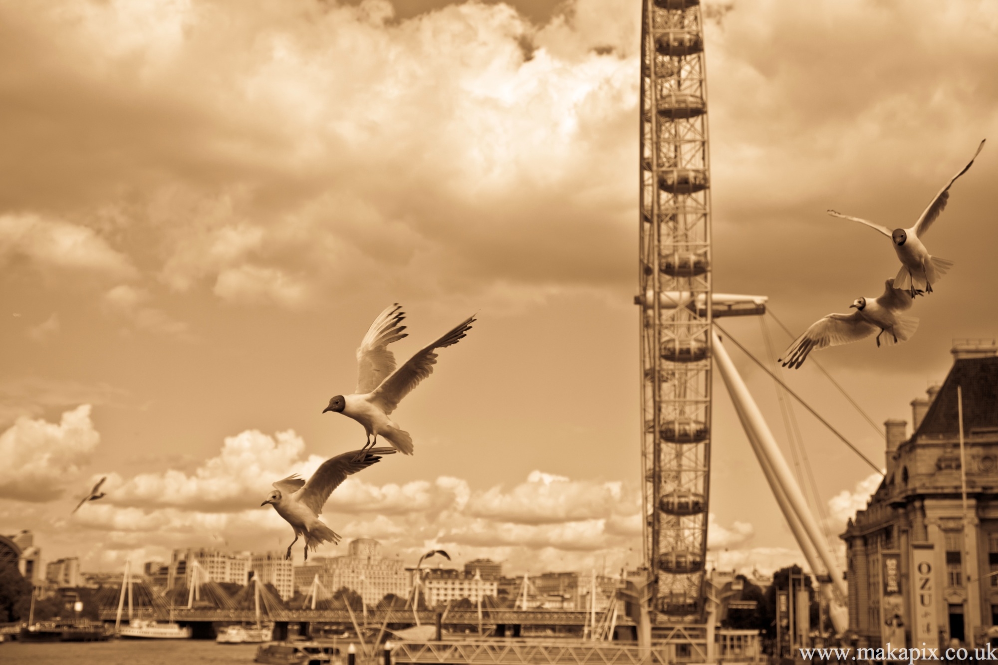 London Eye, London, England