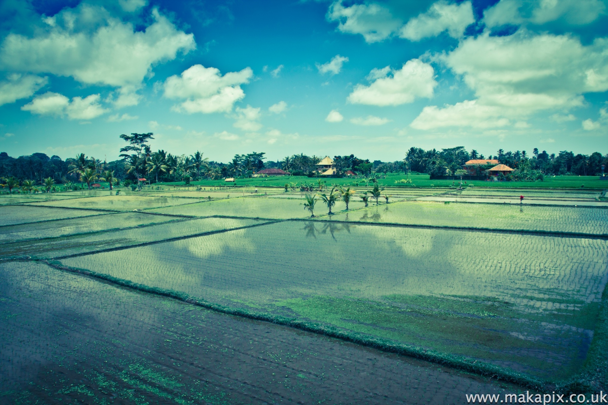 indonesia