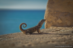 Varadero, Matanzas, Cuba