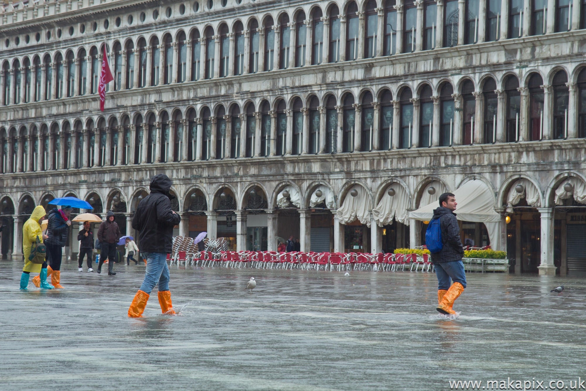 Venice 2014