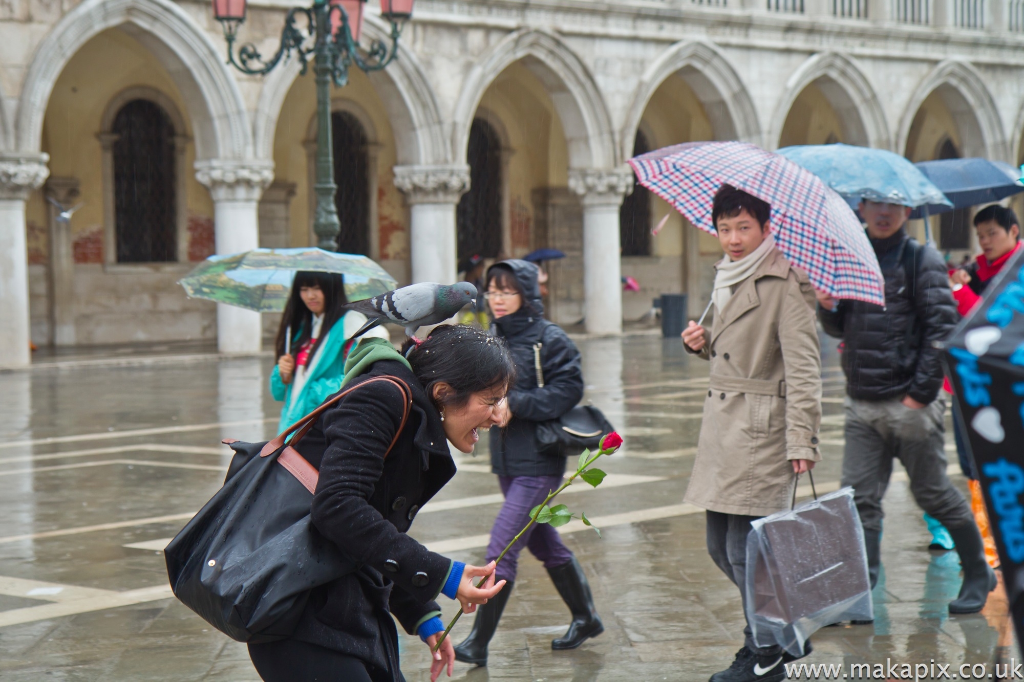 Venice 2014