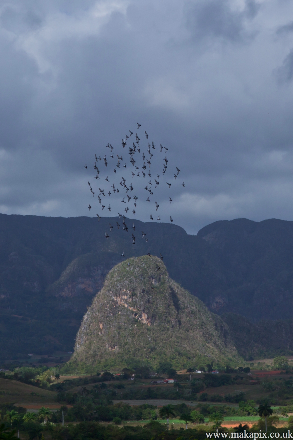 Viñales Valley