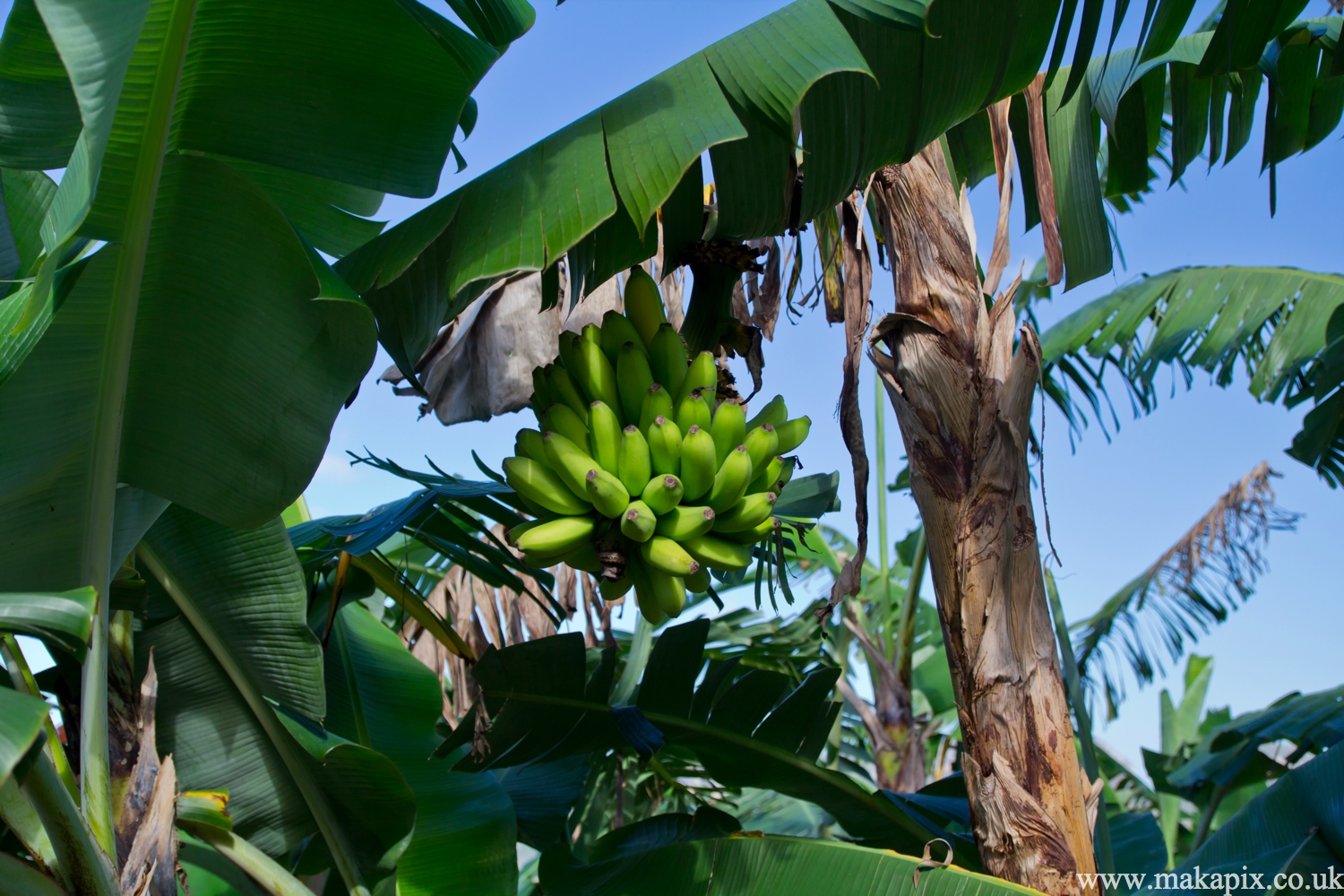 Viñales Valley