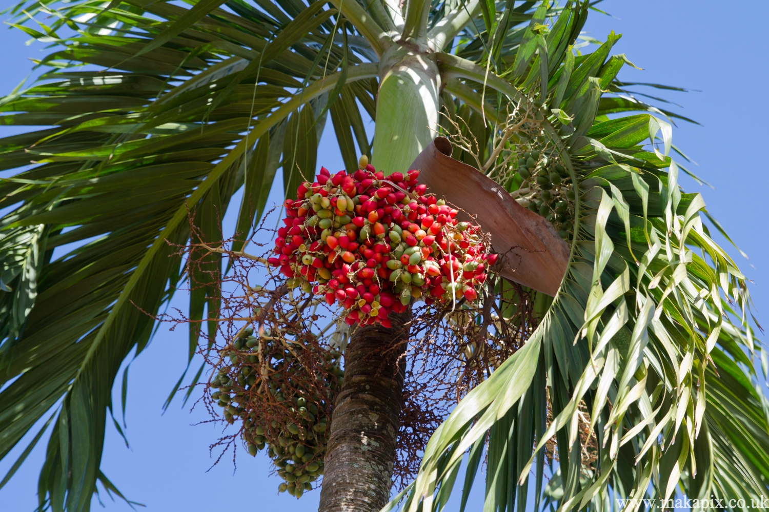 Viñales Valley