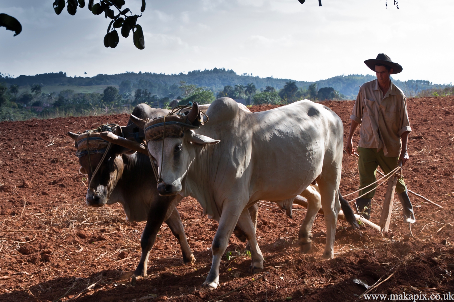 Viñales Valley