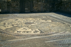 Volubilis is a partly excavated Berber city in Morocco