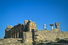 Volubilis is a partly excavated Berber city in Morocco