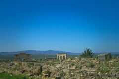 Volubilis is a partly excavated Berber city in Morocco