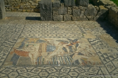 Volubilis is a partly excavated Berber city in Morocco